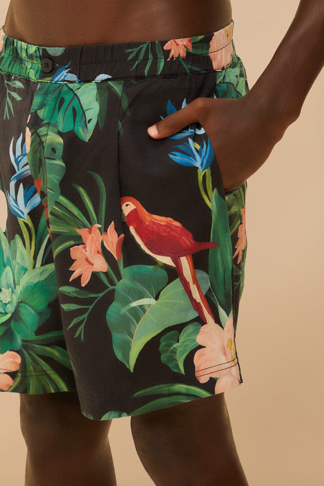 Black Midnight Macaw Fiesta Shorts