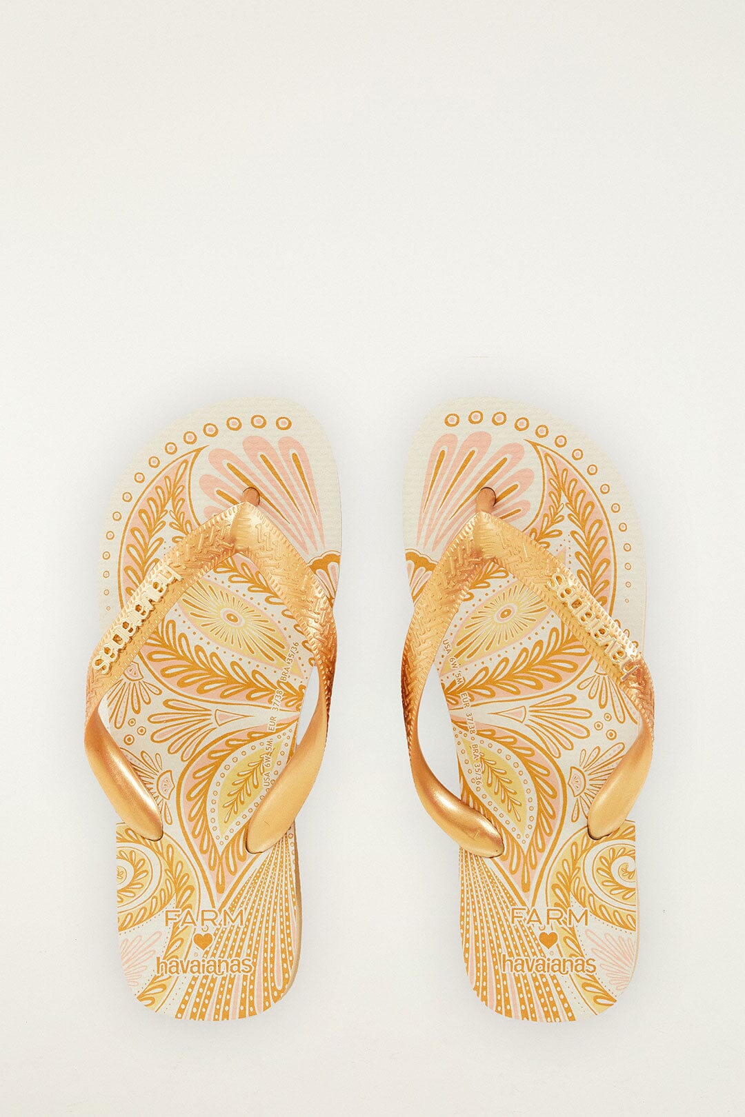 Papillon Havaianas