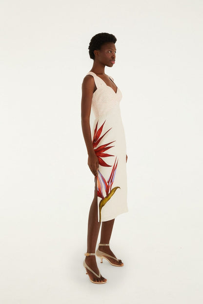 Sand Strelitzia Midi Dress