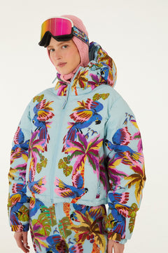 MACAW BLUE