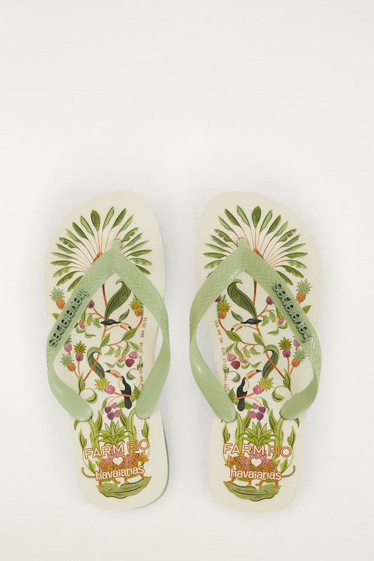 Off-White Sweet Forest Havaianas