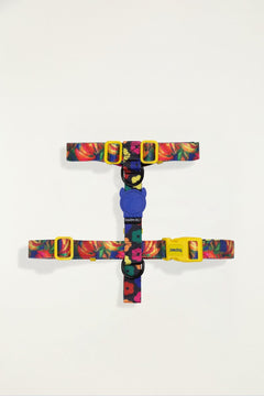 MULTI