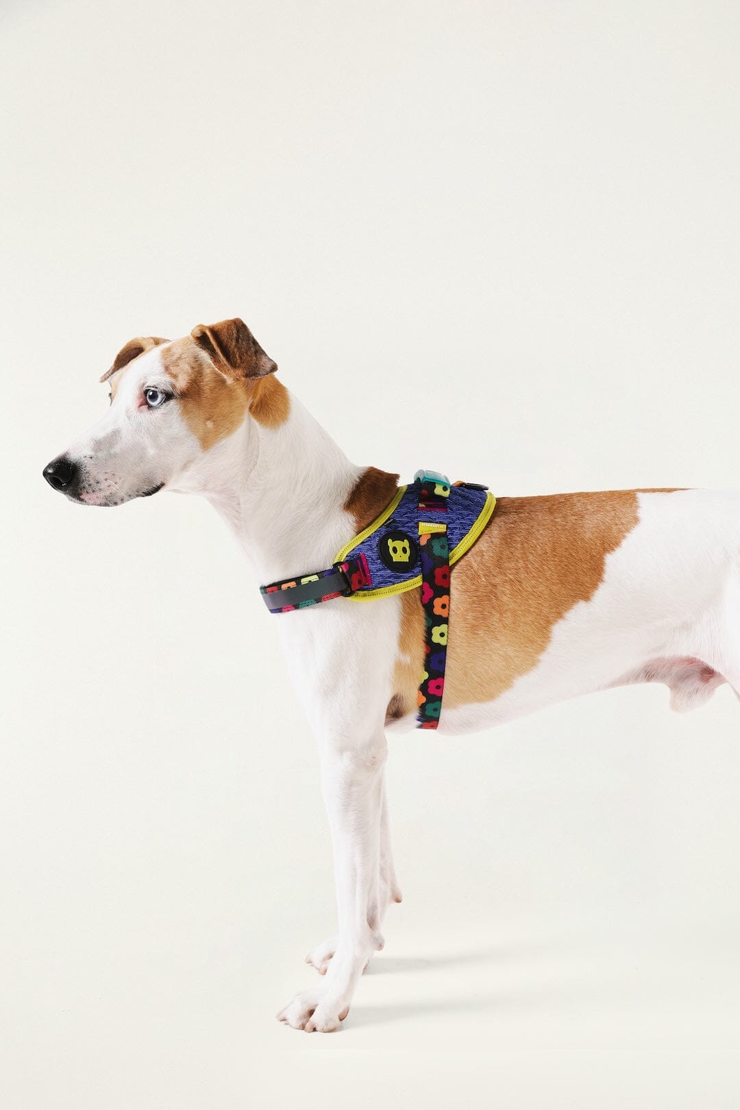 Zeedog Farm Samba Flyharness - Size 3