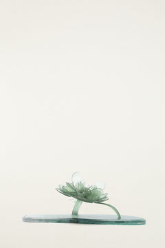 MILITARY AND SAGE GREEN